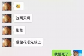 承德承德讨债公司服务